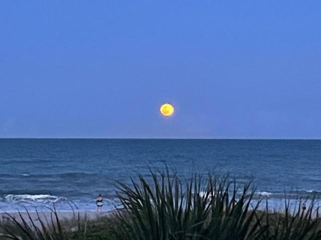 The Marlin - Cocoa Beach Apartment ภายนอก รูปภาพ